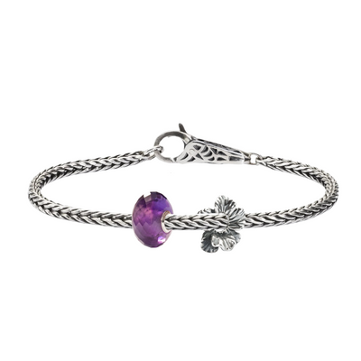 Set Flores nocturnas