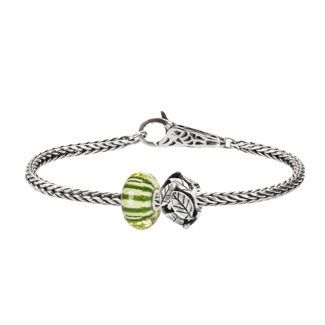 Set Magia en la Naturaleza