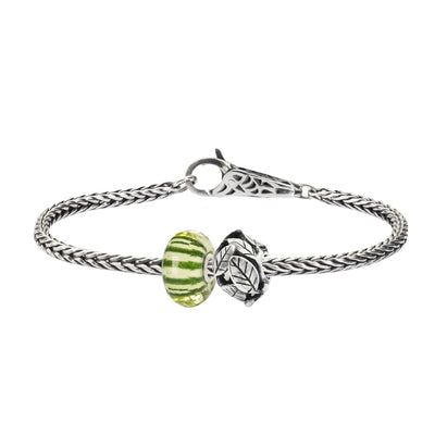 Set Magia en la Naturaleza