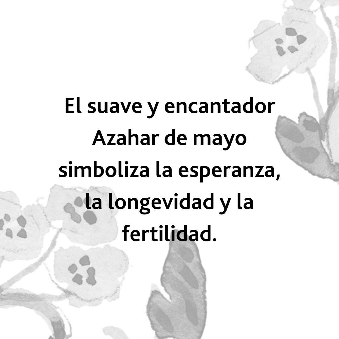 Set Flor de Mayo