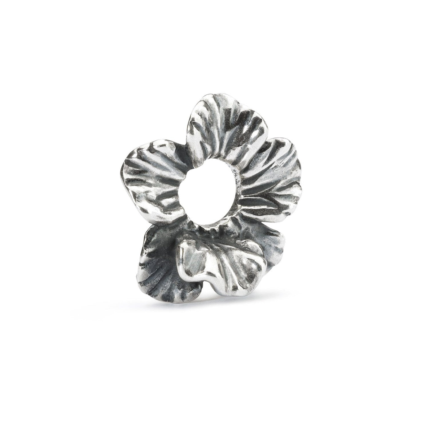 Set Flores nocturnas