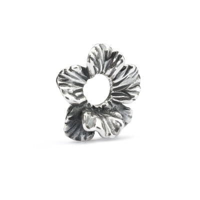 Set Flores nocturnas