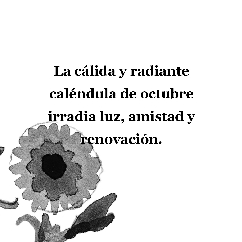 Kit Octubre