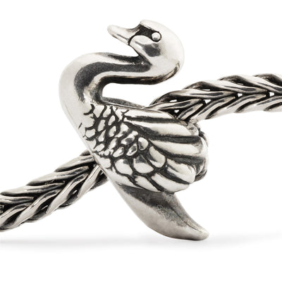 Bead Cisne