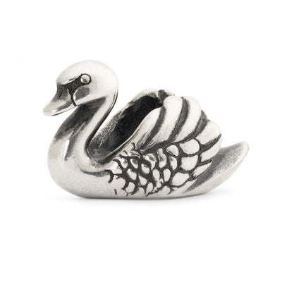 Bead Cisne